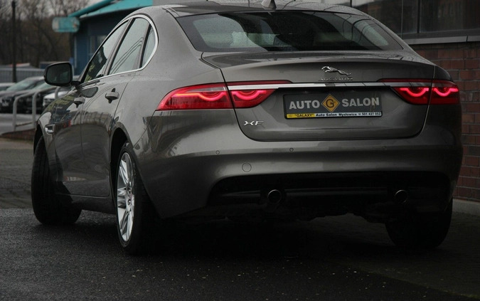 Jaguar XF cena 125990 przebieg: 23000, rok produkcji 2018 z Łasin małe 781